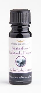 Avatarfeuer Essence Selbsterkenntnis