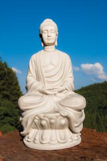 Buddha Amitabha