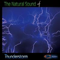 The Nature Sounds of THUNDERSTORM (CD)