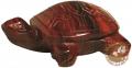 Mini-Gravuren Schildkröte, gemischte Steinsorten, ca. 3 - 3,5cm, 15 St./VE